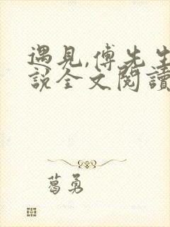 遇见,傅先生小说全文阅读