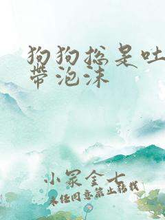 狗狗总是吐黄水带泡沫