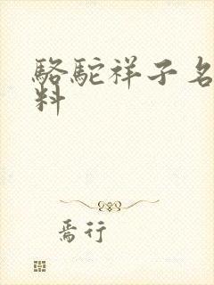 骆驼祥子名著资料