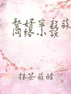 赘婿宁毅苏檀儿网络小说