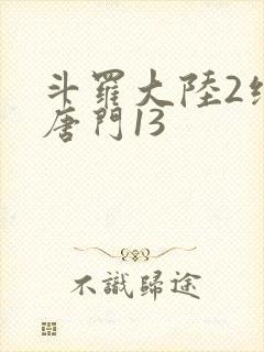 斗罗大陆2绝世唐门13
