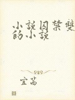 小说囚禁双男主的小说