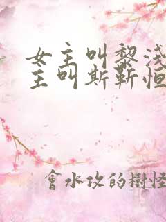 女主叫黎浅洛男主叫斯靳恒的小说