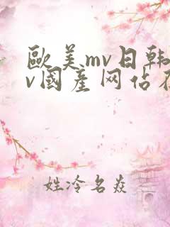 欧美mv日韩mv国产网站在线观看