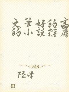 文笔好的高质量的小说推荐