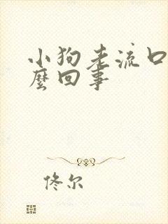 小狗老流口水怎么回事