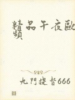 精品午夜欧美视频