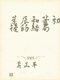 叶辰和萧初然最后的结局