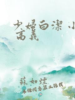 少妇白洁 小说 高义