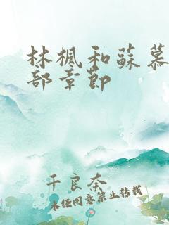 林枫和苏慕白全部章节