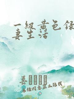 一级黄色录像夫妻生活