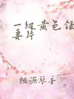 一级黄色录相夫妻片