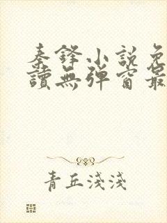 秦锋小说免费阅读无弹窗最新章节下载