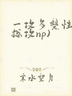 一攻多双性受(总攻np)