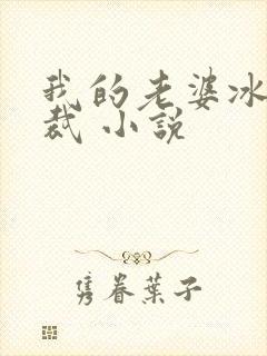 我的老婆冰山总裁 小说