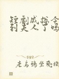 短剧戚总今天追到夫人了吗全集免费观看