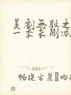 美剧无耻之徒第一季未删减