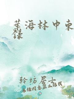 叶海林中东风云录