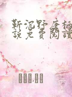 靳沉野唐栖雾小说免费阅读