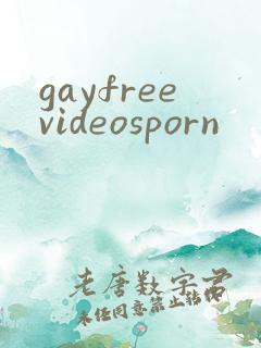 gayfreevideosporn