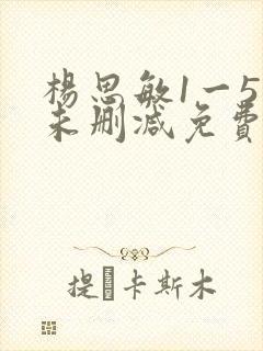 杨思敏1一5集未删减免费观看