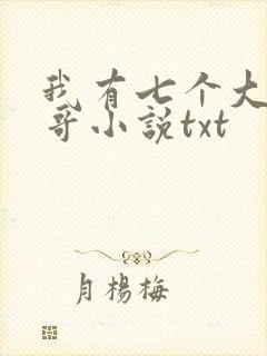 我有七个大佬哥哥小说txt