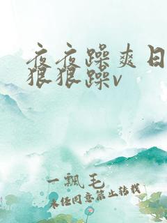 夜夜躁爽日日躁狠狠躁v