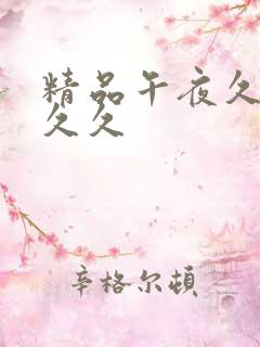 精品午夜久久久久久