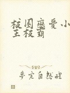 校园恋爱小说男主校霸