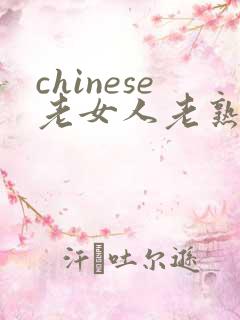 chinese老女人老熟女hd