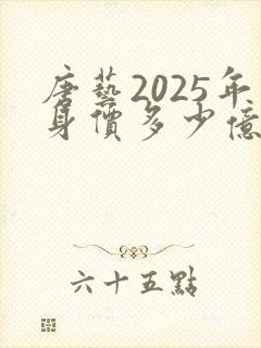 唐艺2025年身价多少亿