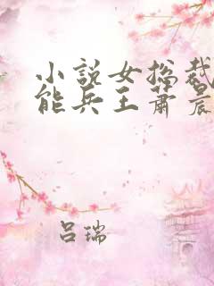 小说女总裁的全能兵王萧晨