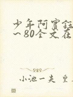 少年阿宾钰慧1～80全文在线阅读