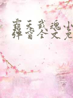 霸天武魂小说无弹窗全文免费阅读