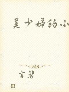 美少妇的小说