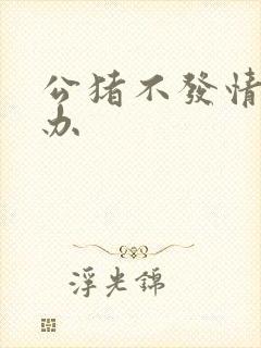 公猪不发情怎么办