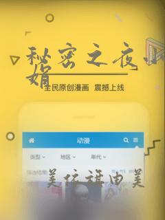 秘密之夜小说小娟：结局+番外