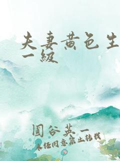 夫妻黄色生活片一级