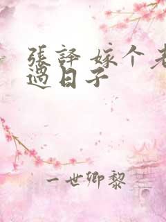 张译 嫁个老公过日子