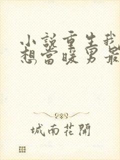 小说重生我真没想当暖男最新章节