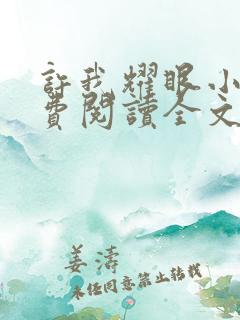 许我耀眼小说免费阅读全文最新章节