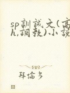 sp训诫文(高h,调教)小说