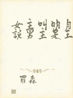 女主叫明月的小说男主是王爷