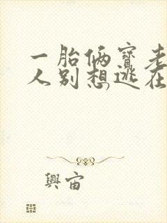 一胎俩宝老婆大人别想逃在线阅读