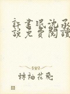 许书眠沈承泽小说免费阅读最新章节