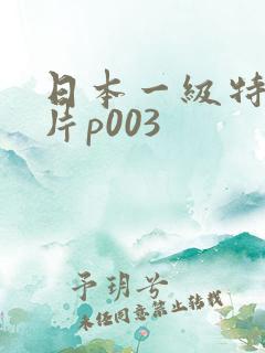 日本一级特黄大片p003