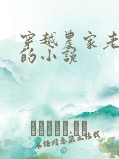 穿越农家老太太的小说