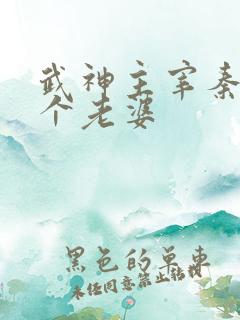 武神主宰秦尘几个老婆