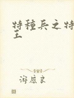 特种兵之特战兵王