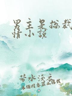 男主是总裁的言情小说